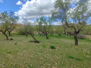 Jardín